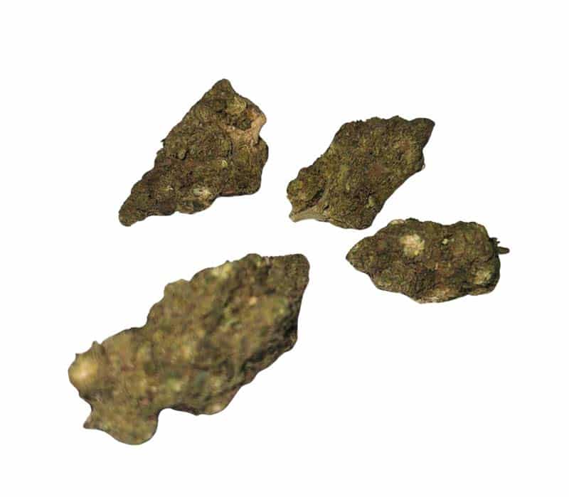 strawberry cookie canada