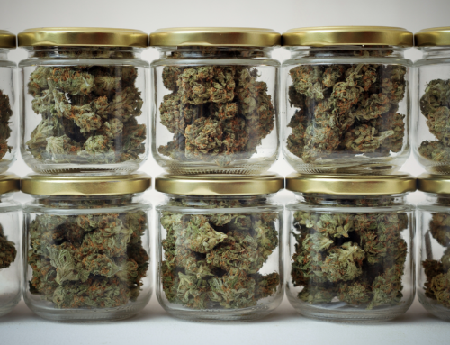 What is Sativa?