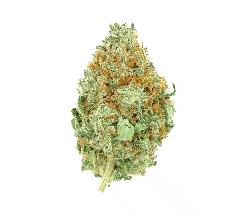 power plant outdoor