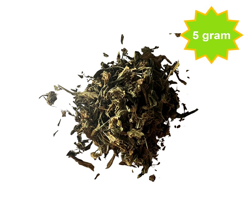 Amnesia Haze shake budget