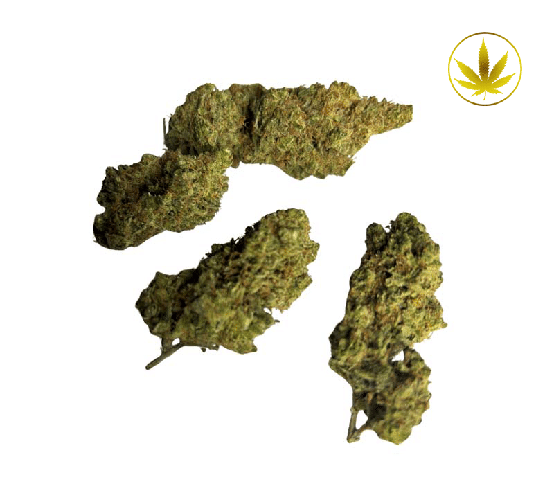 floraxl haze