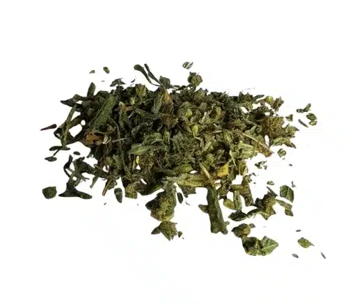 moby dick gruis
