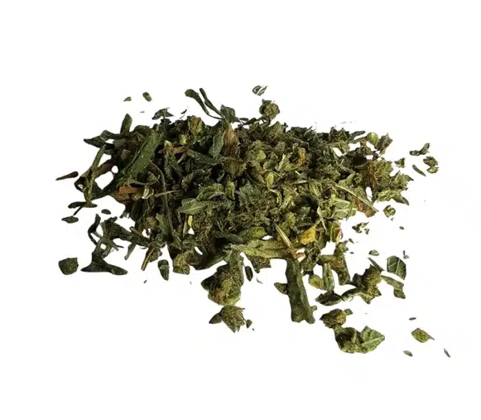moby dick gruis