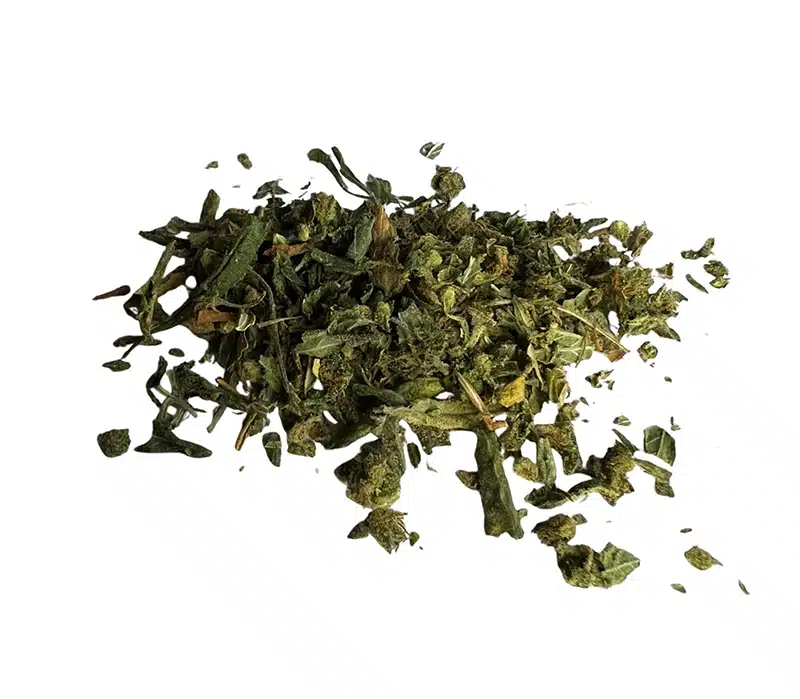 moby dick gruis