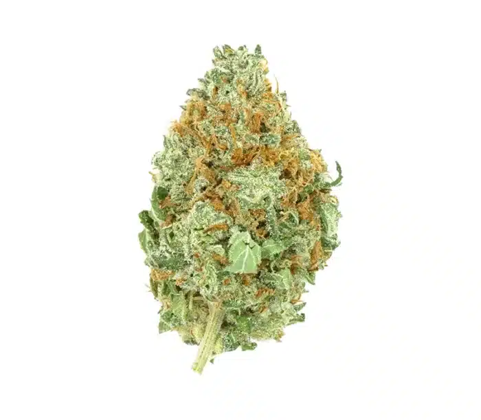 original skunk