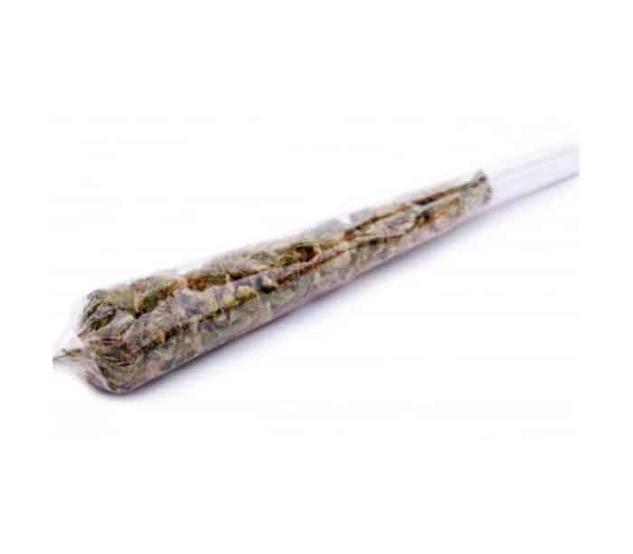 Pre-rolled joint Amnesia Haze