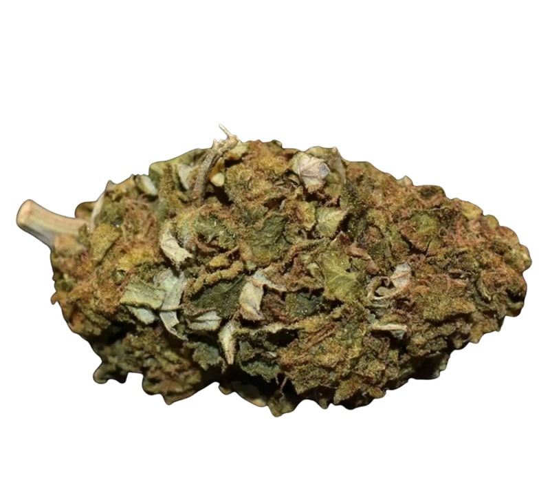 Strawberry Cookie Canada